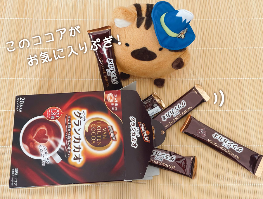 バンホーテンのグランカカオ(スティック)