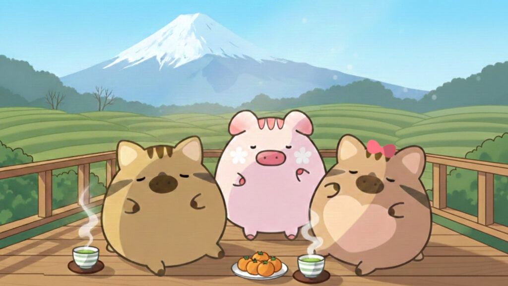 冬の静岡で日向ぼっこするプーちゃんズ